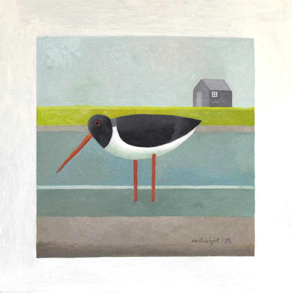 oystercatcher bird painting reg cartwright 2025